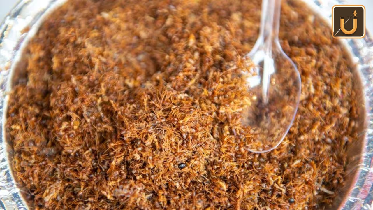 Usthadian Academy / Red Ant Chutney Of Odisha Receives Geographical Indication (GI) Tag | 11jan 2024 Usthadian Academy / Red Ant Chutney Of Odisha Receives Geographical Indication (GI) Tag